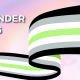 Agender Flag