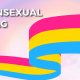 Pansexuality Flag