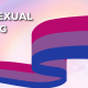 Bisexual Flag