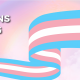 Trans Flag
